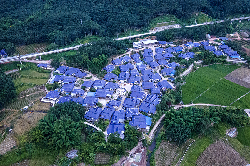 磨憨鎮(zhèn)曼莊村大龍哈小組現(xiàn)代化邊境幸福村新貌。人民網(wǎng)記者 符皓攝