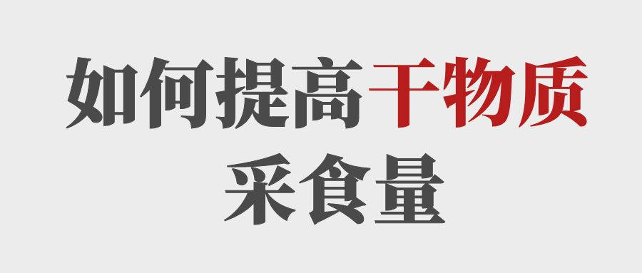 做到這5點提高育肥牛的干物質(zhì)采食量！